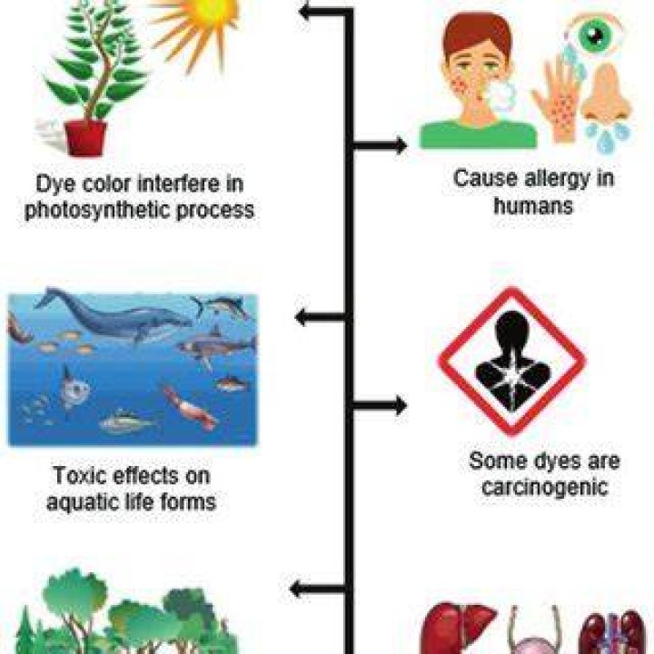Are azo dyes toxic
