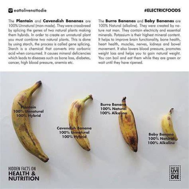 Are baby bananas the same as burro bananas