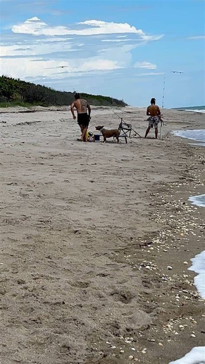 Are dogs allowed on Hutchinson Island Beach