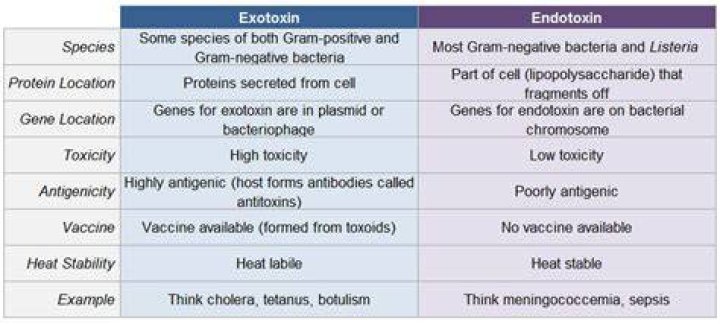 Are Exotoxins heat stable