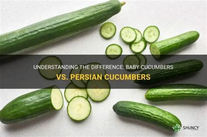 Are Persian cucumbers the same as mini cucumbers