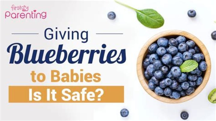 Can babies eat blueberry skin