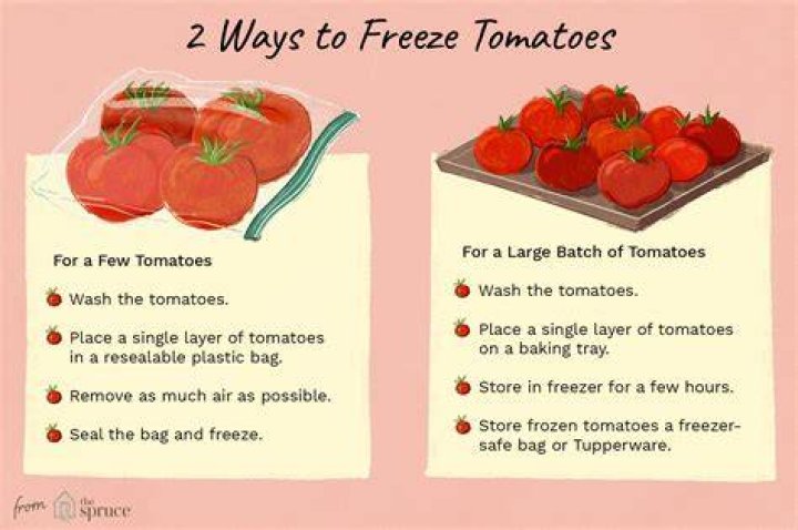 Can I freeze fresh tomatoes