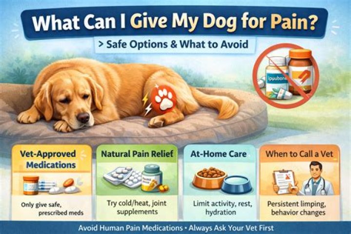 Can I give my dog Sulfameth trimethoprim