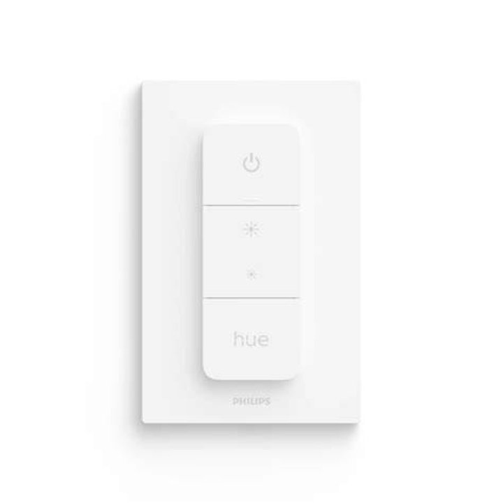 Can I still use light switch with Philips Hue