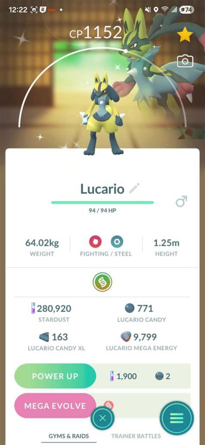 Can lucario fly