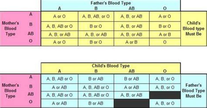 Can O and AB have a baby
