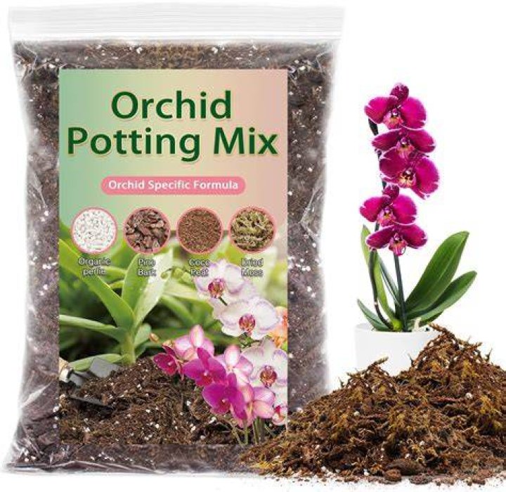 Can orchid potting mix be used for succulents