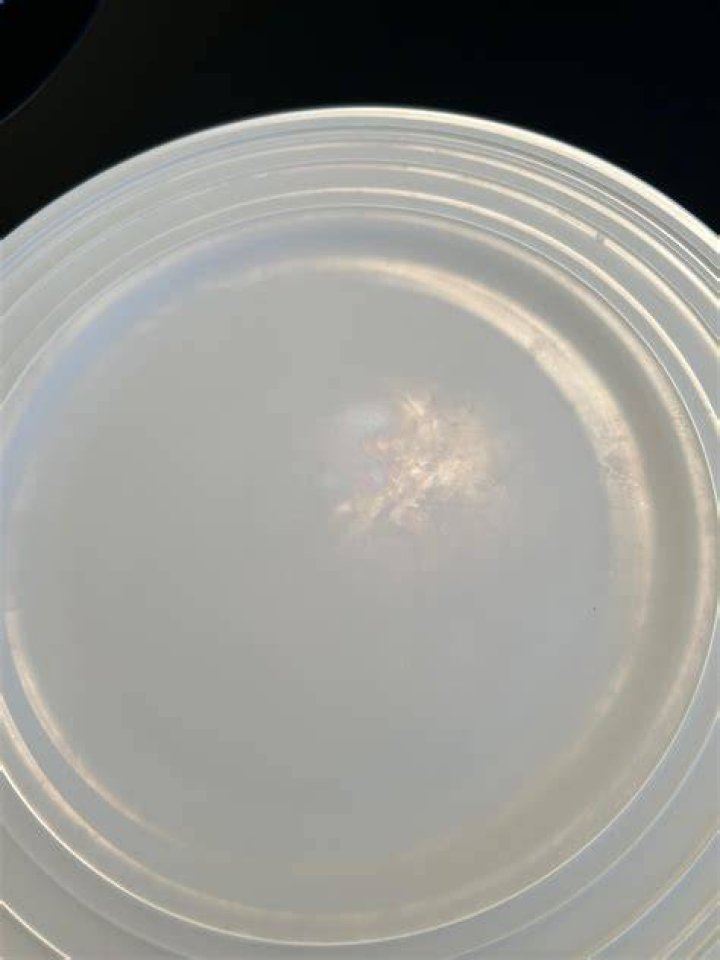 Can Rosenthal china go in dishwasher