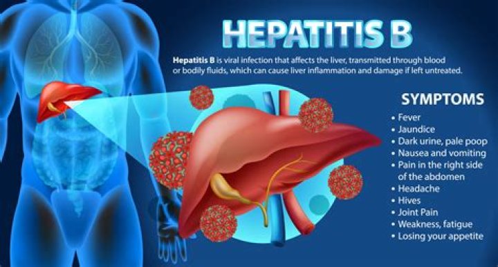 Can shellfish give you hepatitis B