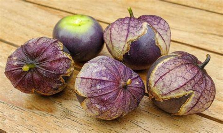Can tomatillos be purple