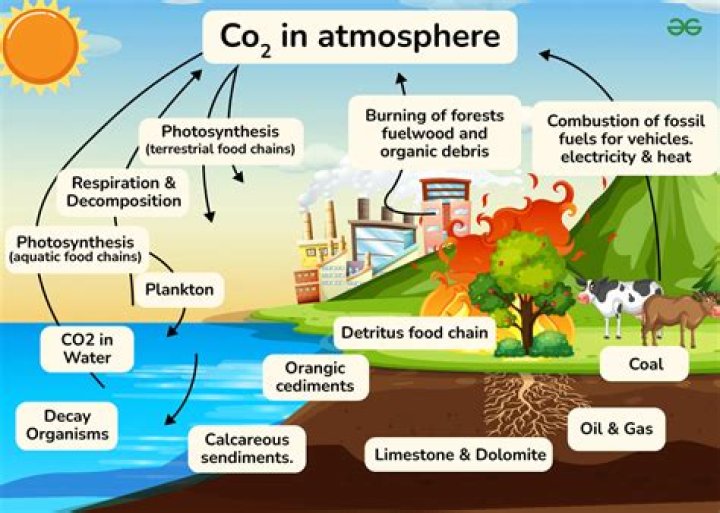 Can we extract carbon from the atmosphere