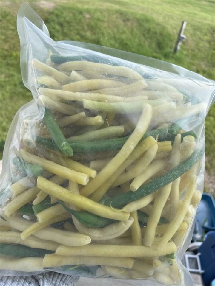 Can yellow beans be frozen