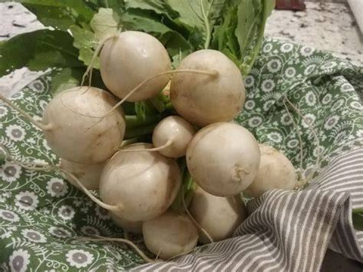 Can you eat too many turnips