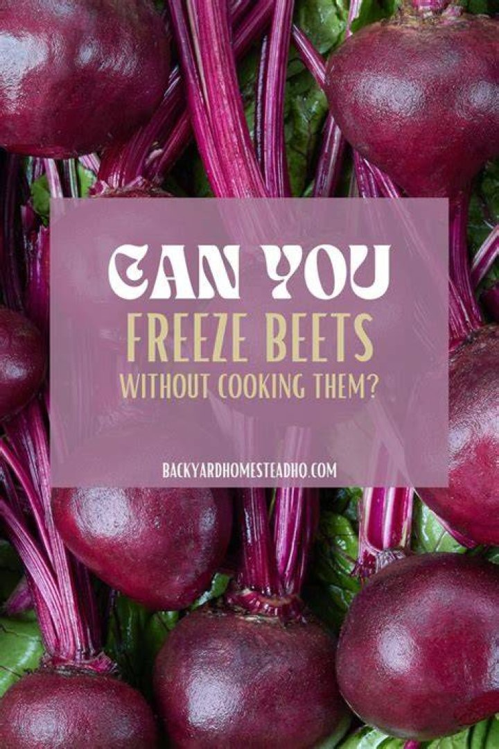 Can you freeze beets after cooking