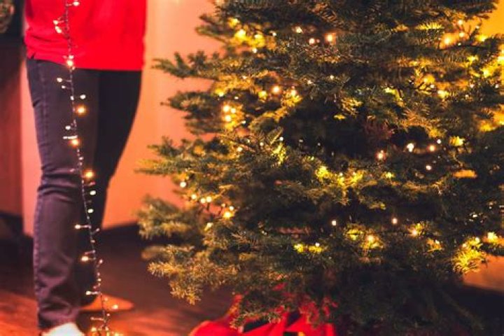 Can you put LED lights on an aluminum tree