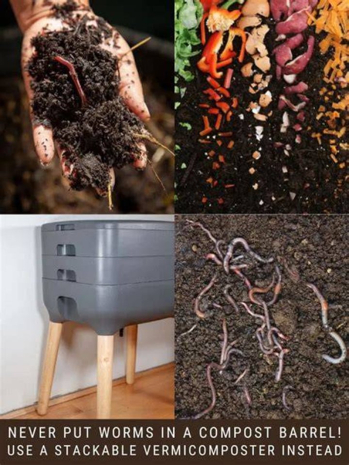 Can you put worms in compost tumbler