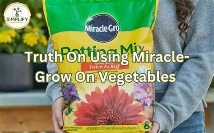 Can you use miracle grow on shrubs