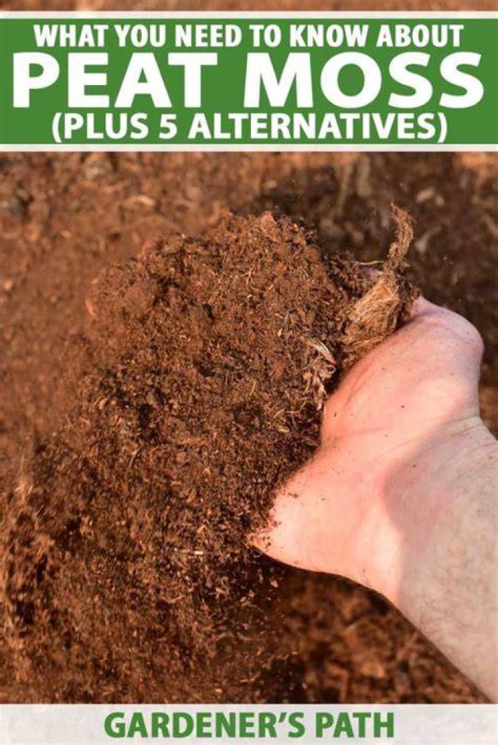Can you use peat moss for potting plants