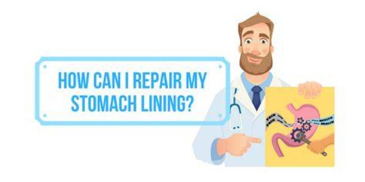 Can your stomach lining repair itself