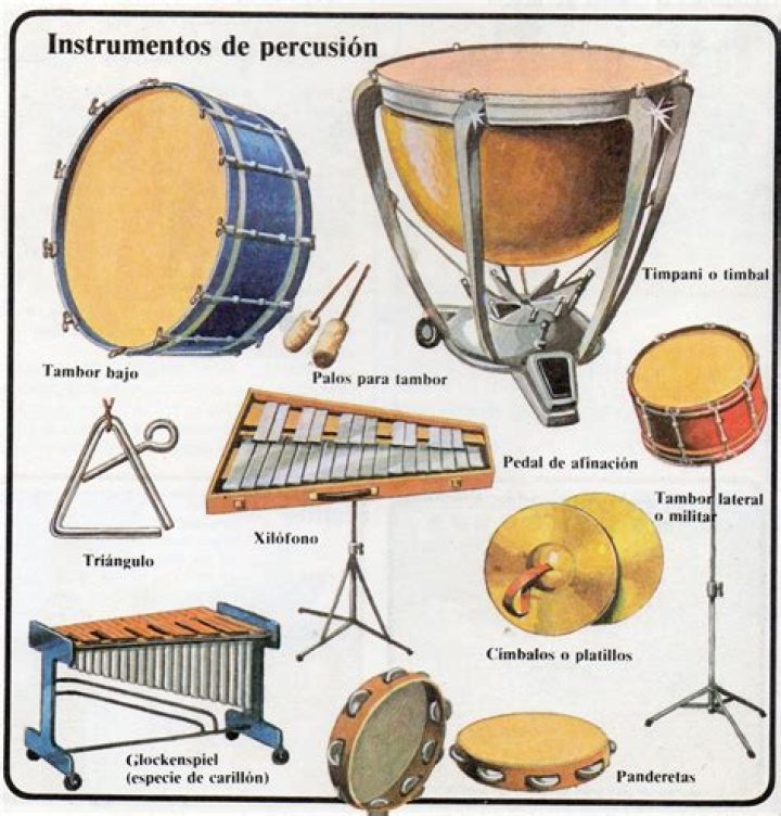 ¿Cuáles son los instrumentos musicales de Jalisco