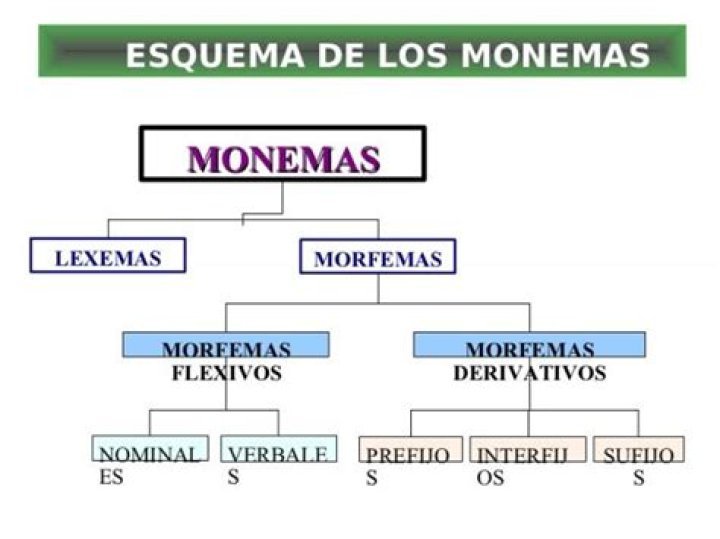 ¿Cuáles son los monemas