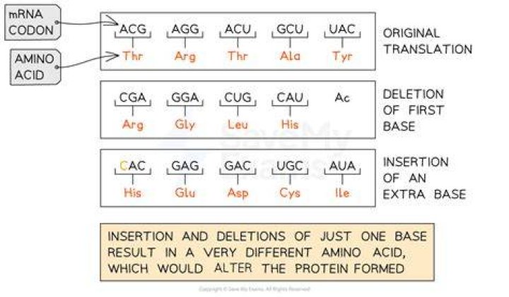 Do all mutations result in a change in the amino acid sequence