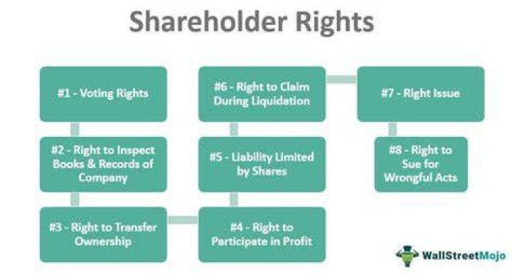Do common shareholders have voting rights