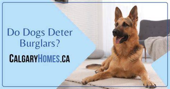 Do dogs deter break ins
