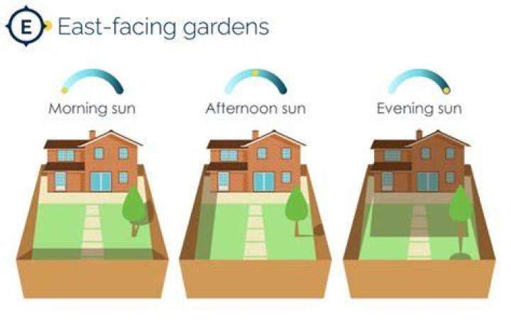 Do east facing gardens get the sun