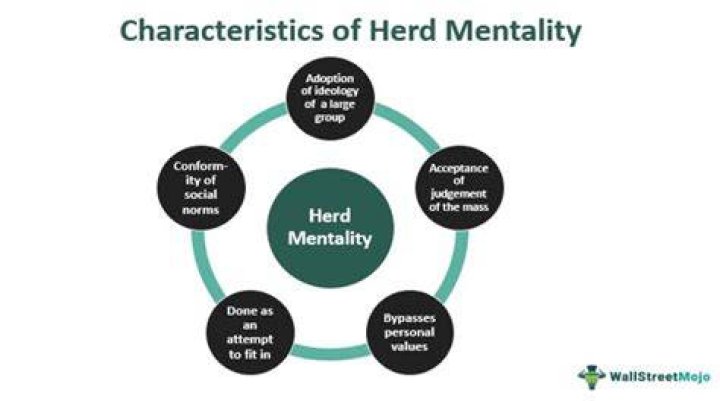 Do humans have herd mentality