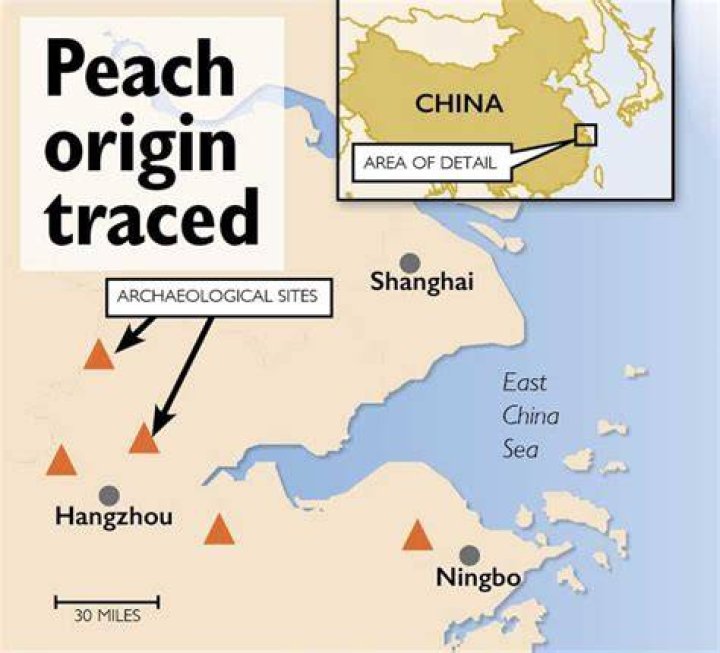 Do peaches come from China