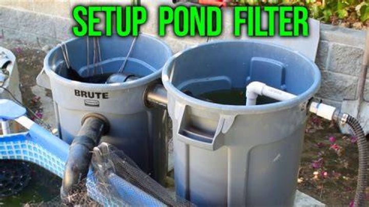 Do ponds need a filter