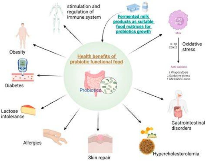 Do probiotics have lactose