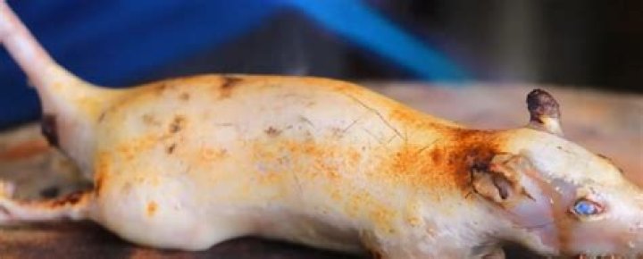 Do Thai people eat rat