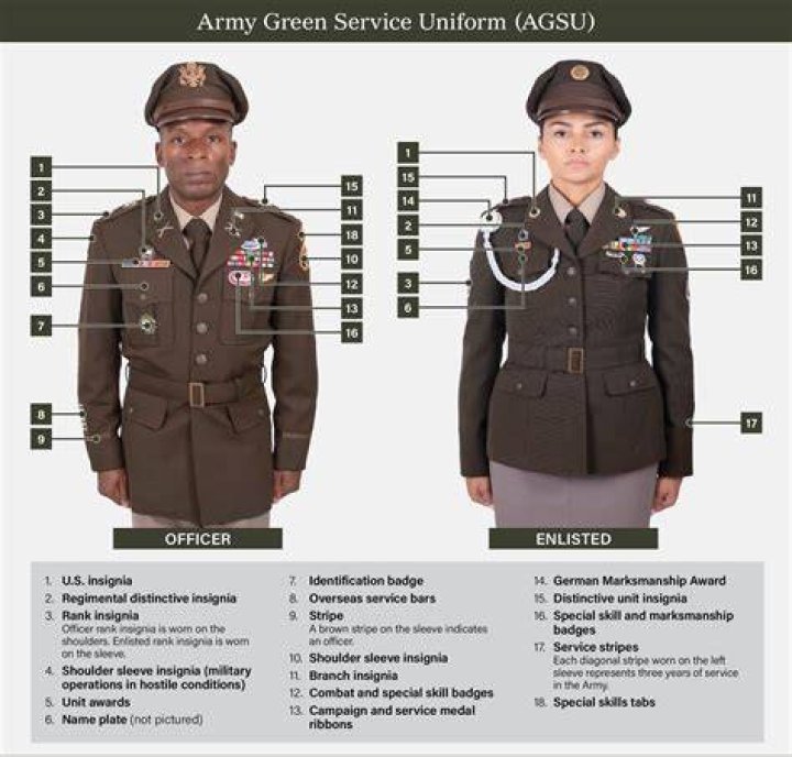 Do warrant officers wear service stripes