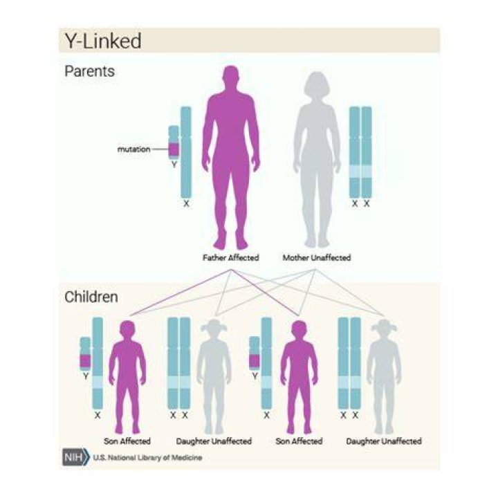 Do y linked diseases exist