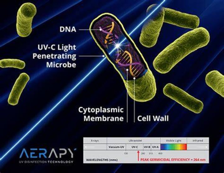 Does a UV light kill parasites