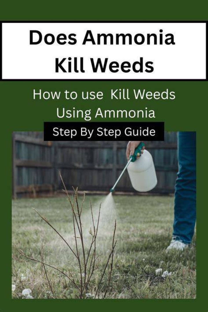 Does ammonia kill birds
