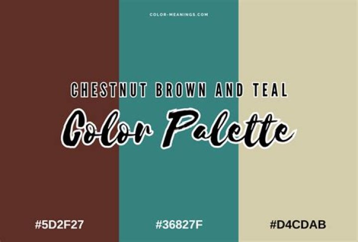 Does Brown and teal go together