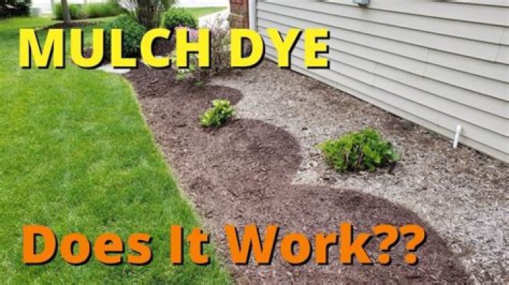 Does Brown mulch have dye in it