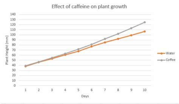 Does caffeine affect plant growth science fair project
