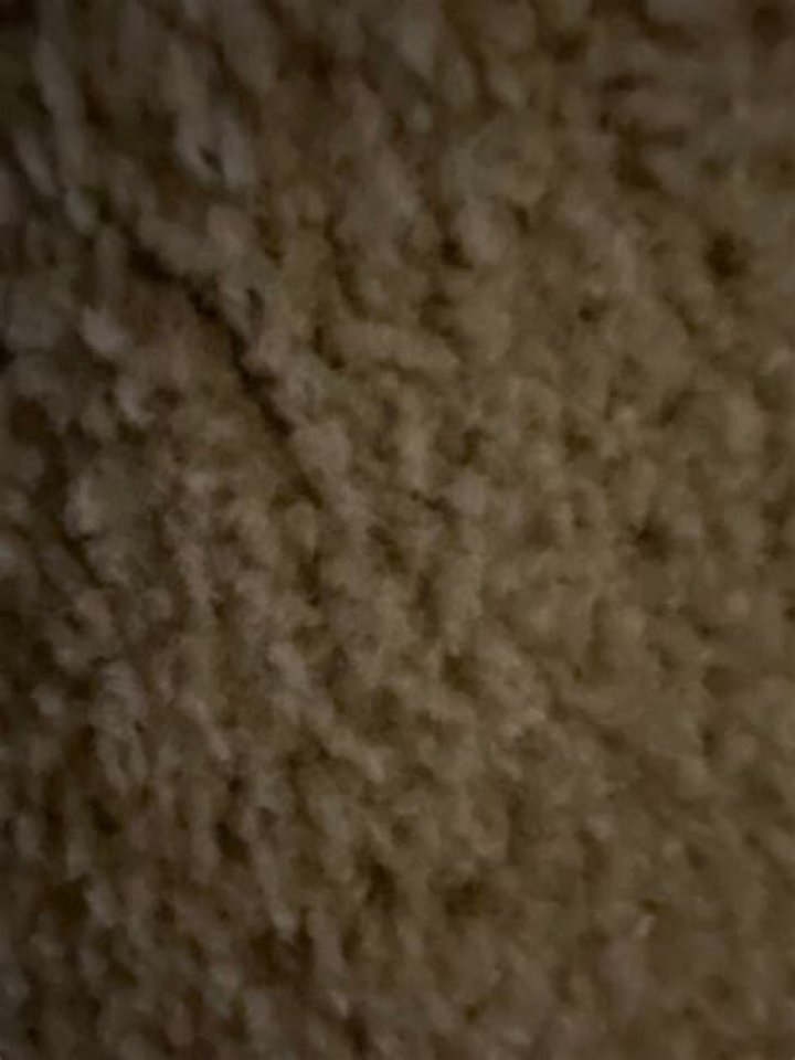 Does carpet decompose