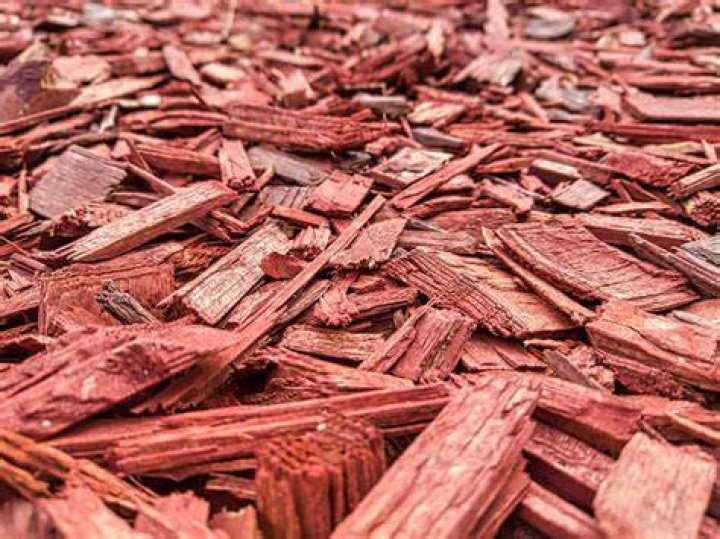 Does cedar mulch repel mice