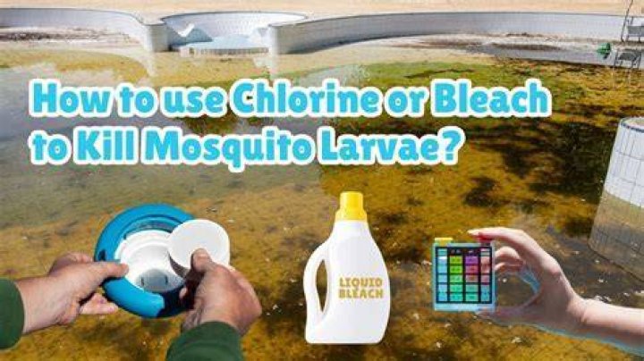 Does chlorine kill water bugs