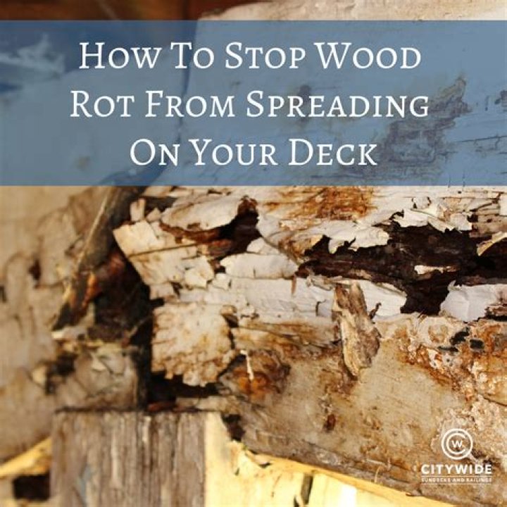 Does dry wood rot stop