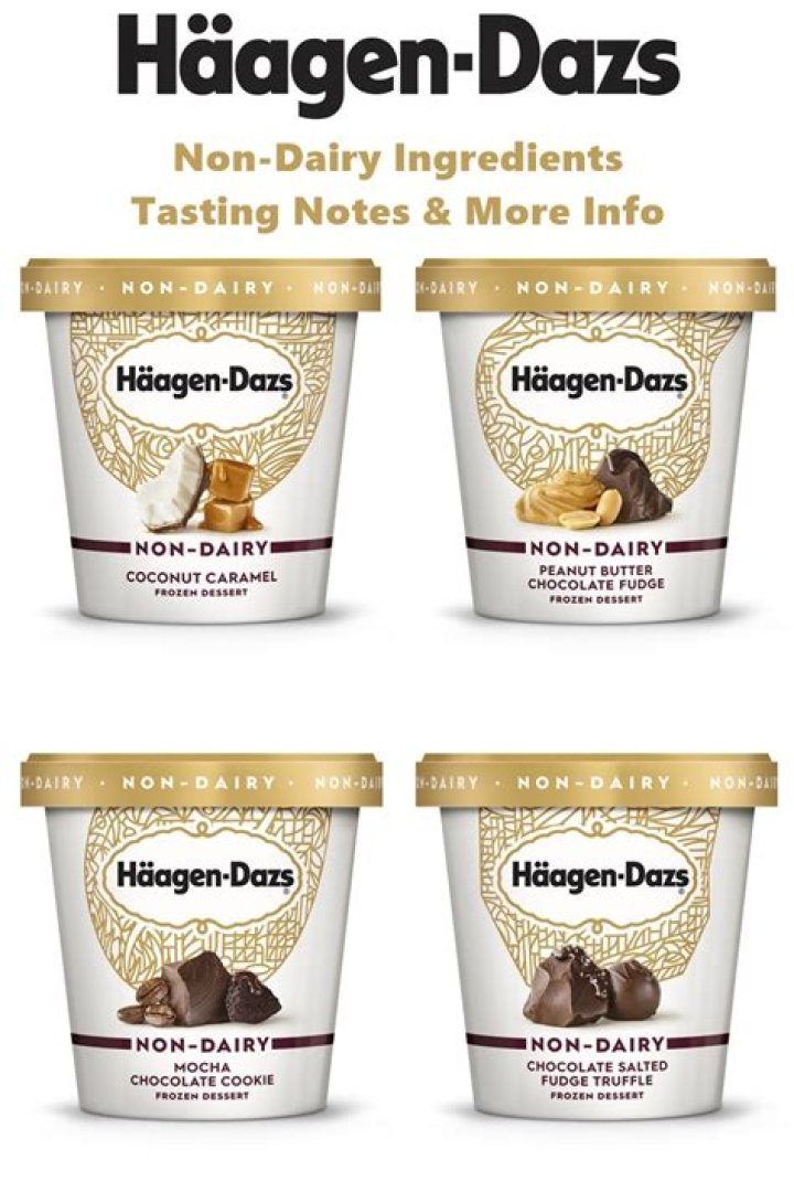Does Haagen Dazs make sugar free ice cream