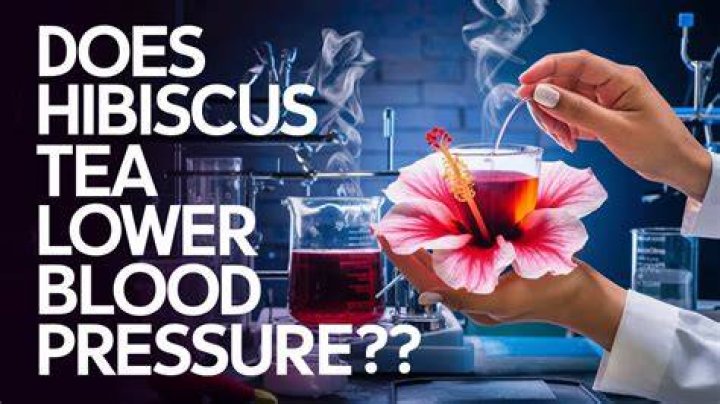 Does hibiscus tea thin the blood