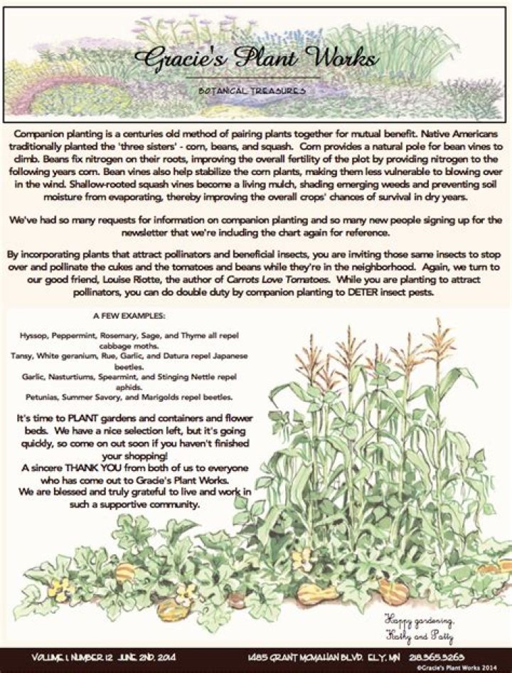 Does Home Depot sell plants treated with neonicotinoids
