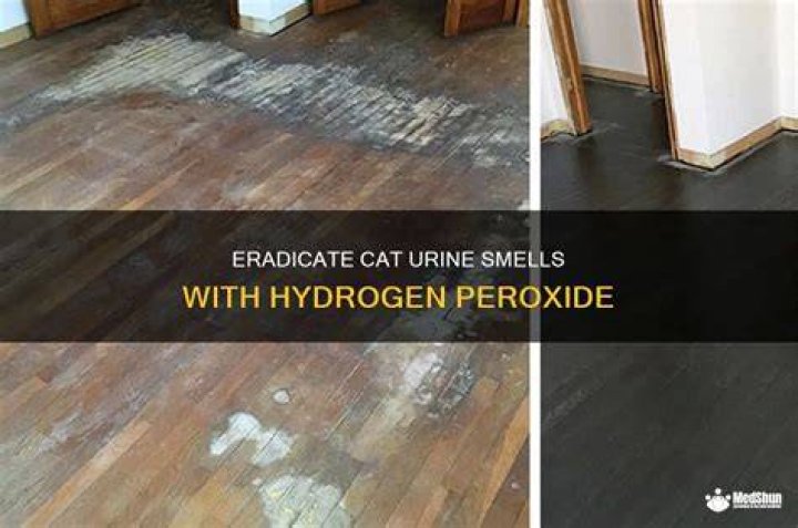 Does hydrogen peroxide get rid of cat pee